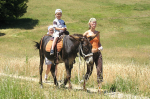 <p>Trekking con gli asini - Valnerina - Umbria</p>