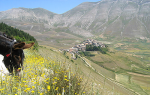 <p>Castelluccio di Norcia - Parco Nazionale Monti Sibillini - Valnerina -  Umbria</p>