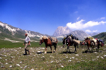 <p>Escursione con i muli - Parco Nazionale Monti Sibillini - Valnerina - Umbria</p>
