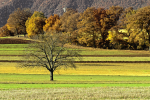 The four seasons in Valnerina