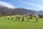 Spring in Valnerina