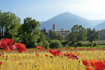 Paesaggi della Valnerina. Norcia, il Piano di Santa Scolastica