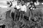 Valnerina. Work in the country in black and white