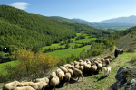 Valnerina. Landscapes on all fours 2