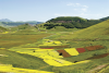 Plateau of Castelluccio - Plan Perduto - Norcia - Valnerina