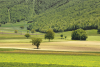 Piana di Santa Scolastica - Norcia