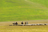 Horseback riding - plateau of Castelluccio - Norcia
