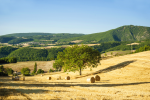 Il Paesaggio della Valnerina ad alta quota