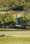  Scorcio Chiesa di San Procolo-Avendita