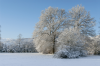  Campagna innevata-Coronella-Cascia